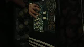 Vino maldito— Ramón Ayala y los bravos del norte