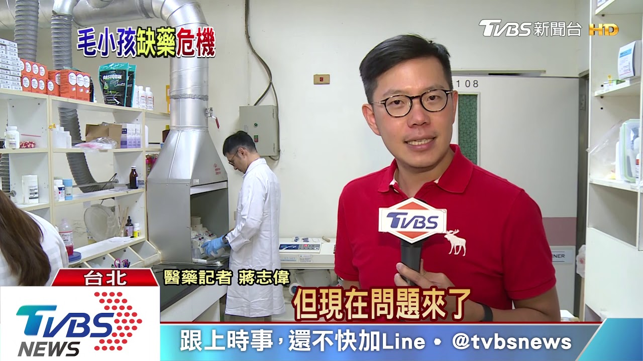 貓狗破250萬隻「法條爭議」 恐面臨「無藥可醫」