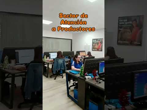 Ya Instalados en la Nueva Oficina