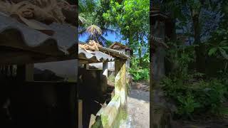 Download lagu Ada Yang Rindu Tempat Mandi Umum di Kampung? mp3 Download lagu Ada Yang Rindu Tempat Mandi Umum di Kampung? mp3