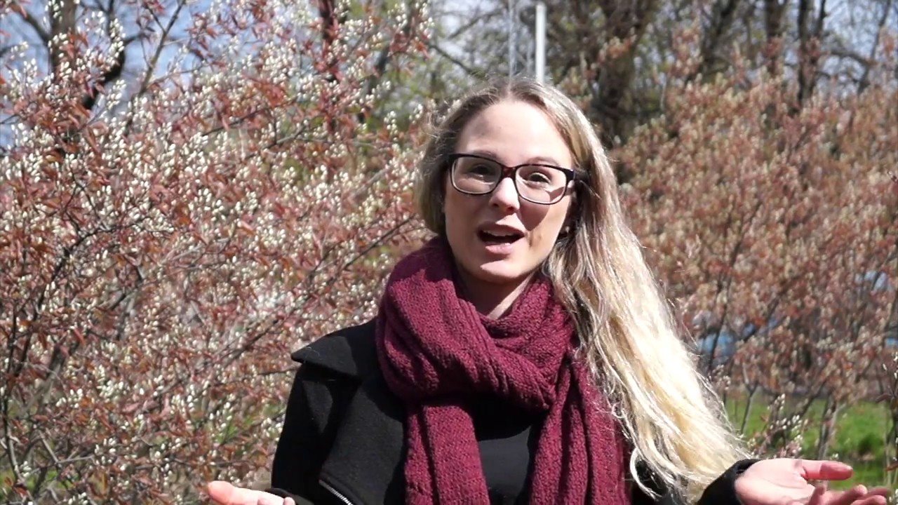Hvilke Jobs Kan Man Få Som 13 årig