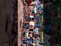 Malama Pitha Pitha Song Band Group