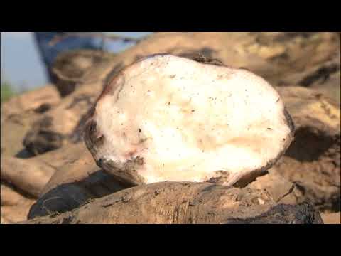 Poljoprivreda u zaštiti okoliša