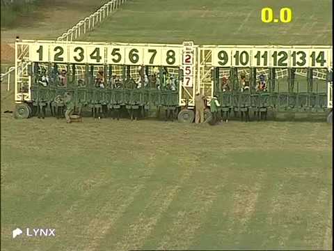 The Tipu Sultan Plate Div-1 winner MR STUNNING