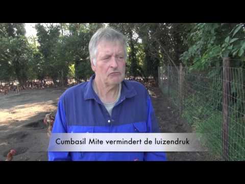 Cumbasil Mite Pluimveebedrijf H.K. Hassing B.V.