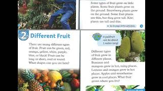 Fruit 1+2