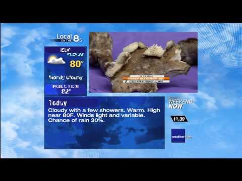 F'd Up L-Bar Local Forecast 9-25-11 12:38PM