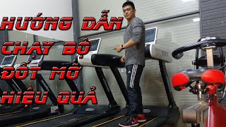 Hướng Dẫn Cardio Trên Máy Chạy Bộ Đốt Mỡ Hiệu Quả | Chạy Bộ Như Thế Nào Để Đốt Được Mỡ nhiều nhất