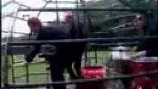 Toy Dolls - &#39;Geordies Gone To Jail&#39;