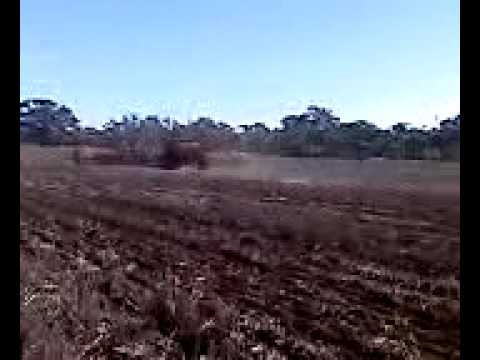 BIggest boom spraying and airseeder following