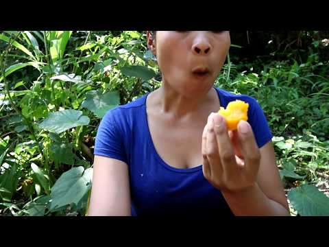 Find and meet natural fruits for food - Natural fruits are tasty#6 Video