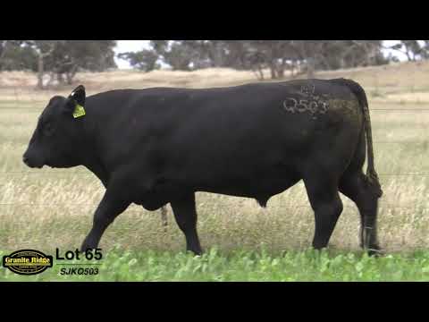 GRANITE RIDGE QUIDS Q503