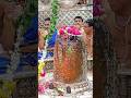 Ujjain Mahakal Status Mahadev Status Video Bholenath Status Mahakal Shorts