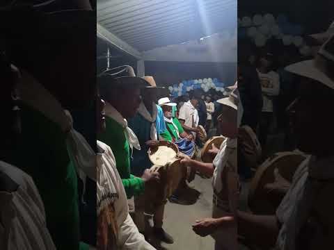 Folia de Nossa Senhora Aparecida 2026-Campos Belos -Goias.