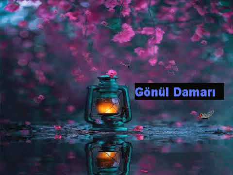 Ebru GÜNDEŞ & Tayfun TALİPOĞLU - seni seviyorum