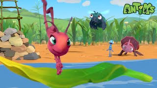 Joey and Boo Build a High Diving Platform with New Friends | Antiks | Wildest Moments Compilation