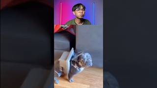 Try Not To Laugh Challenge 893 🤣 #funny #shorts #viralvideo