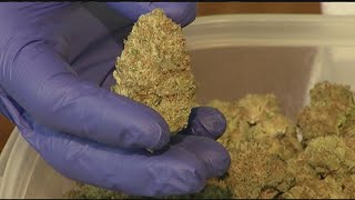 Discussion in West Springfield about prohibiting marijuana sales