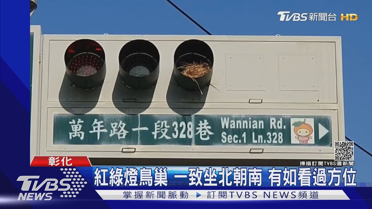 紅綠燈鳥巢！一致坐北朝南　有如看過方位