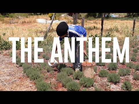 Evaflow - The Anthem (Official Video)