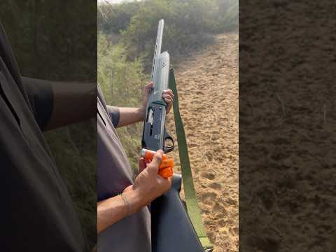 12 Gauge Shotgun Hunting #youtubeshorts #shorts #hunting