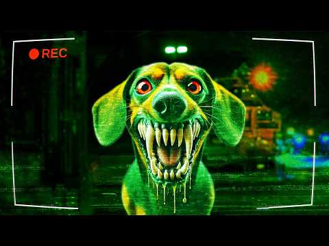 I Exposed The World’s Most DANGEROUS Dog!
