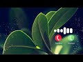 Tujh Bin Ringtone Love Ringtone Bgm Ringtone Instrumental Ringtone