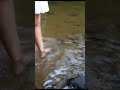 Hamsa Nandini Love With Nature Shorts