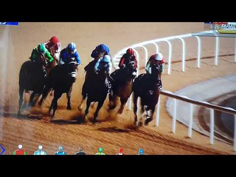 Kimbear-secret ambition-north America-meydan