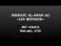Sourate Al An'âm (6) Avec Traduction En Français - Idriss Abkar - HD