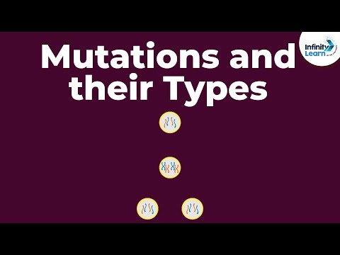 image-Which disease is an example of genome mutation?