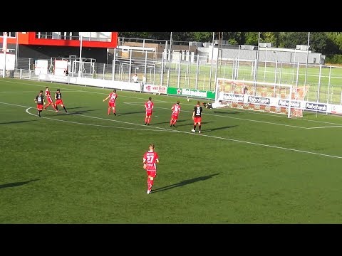 Samenvatting tweede helft DOVO1 - SteDoCo 1 (vr)
