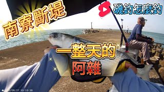 南寮斷堤 慘痛的教訓 釣了一整天的阿雜 #fishing #磯釣 #海釣り  #海釣 #釣魚