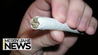 How to Plan the Ultimate Pot Vacation | MERRY JANE News