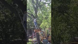 Putting A 15ft Ladder In A Tractor Bucket?(Regrets)#diy #treedown #tractorlife