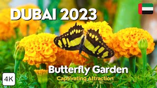 Must Visit Butterfly Garden in Dubai!! | Guide, Things to do in Dubai | 4K - full tour | vlog