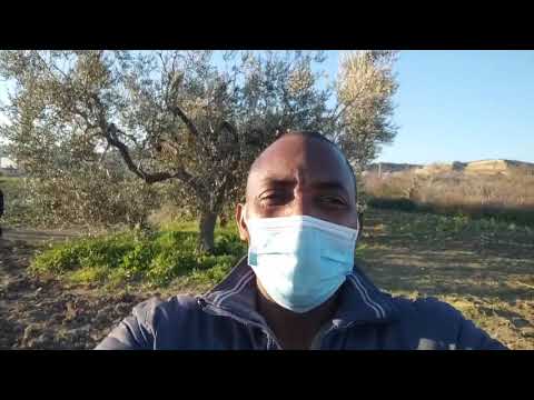 Soumahoro - Fallaye Dabo, bracciante delle campagne foggiane di Lucera, si è suicidato (01.03.21)