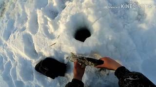 Май рыбалка на талакане амурская область