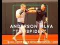 Anderson Silva S 8 BEST Tactics