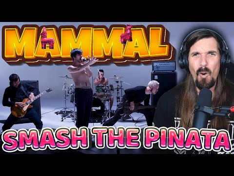 Drummer Reacts | Mammal - Smash the Piñata