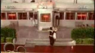 Flores amarillas (Flor y Lola)