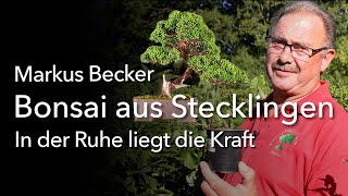 Bonsai aus Stecklingen - Markus Becker zeigt Techniken, wie er schnell Wacholder - Bonsai entwickelt