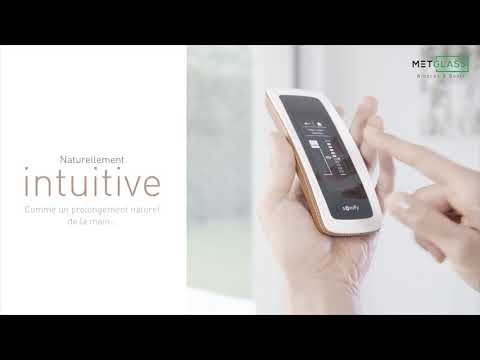 Somfy Telecomanda Nina Touch - Metglass