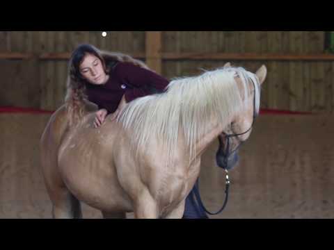 1 Monat mit Spirit // Bald ein Reitpferd? // MUSTANG MAKEOVER 2018