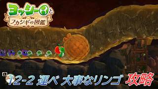 【ヨッシーとフカシギの図鑑】12-2 フカシギからの挑戦 運べ大事なリンゴ 攻略/フラワーコンプリート【クリア後/switch2】