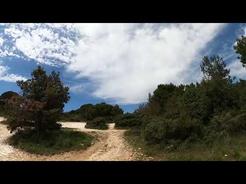 The best mtb trips in Croatia and Slovenia premantura park Croatia