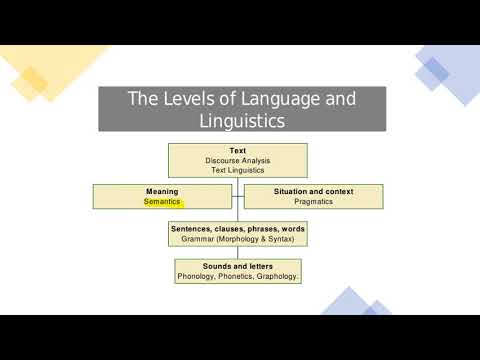 Pragmatics and Semantics / Grammar