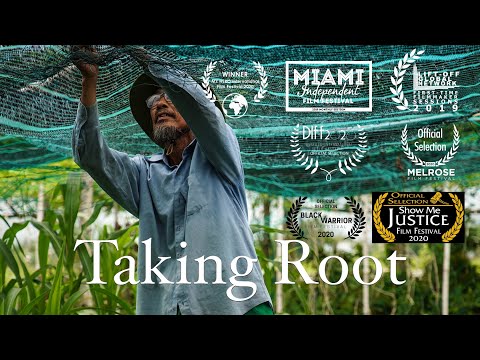Taking Root