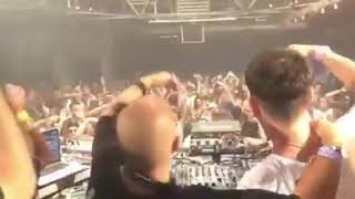 michael bibi b2b Hanging Tree