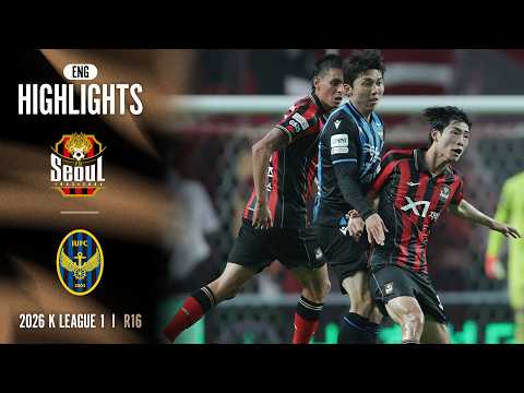 bg-highlight